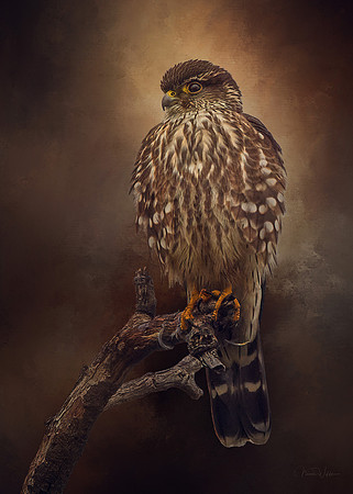 Merlin
