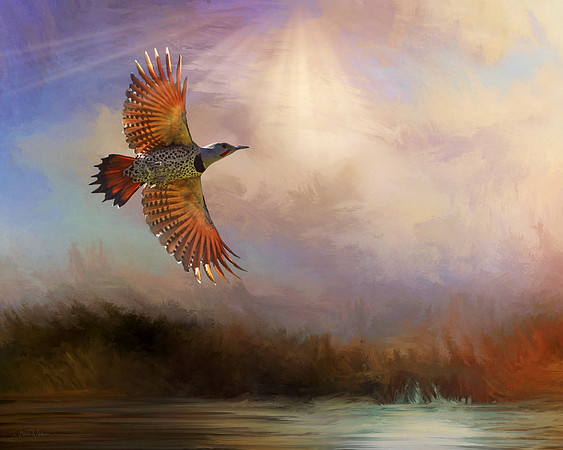 Flight of the Flicker