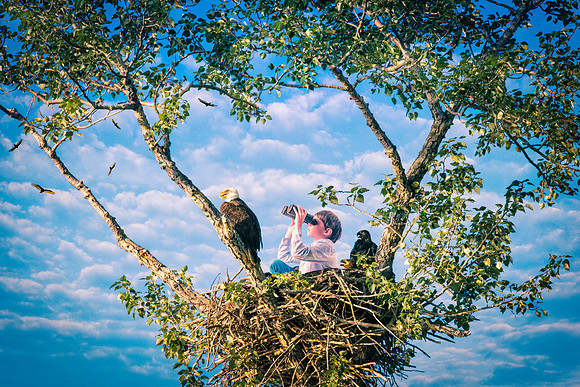 The Lookout