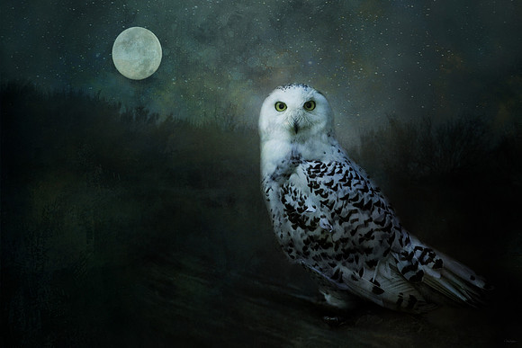 Soul of the Moon