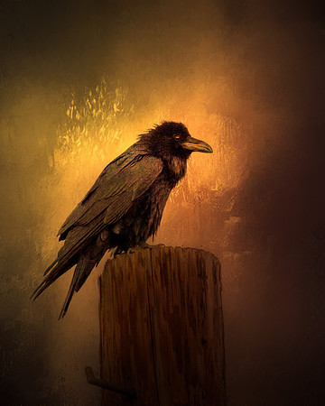 Nevermore