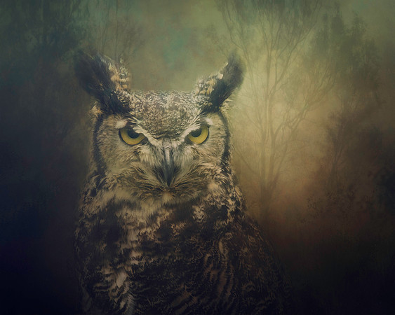 Guardian of the Forest