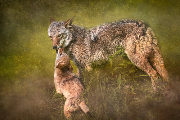 Tender Moment