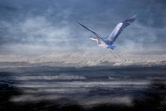 Journey To Calmer Waters
