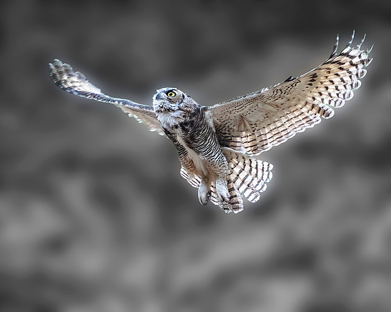 Stormy Flight