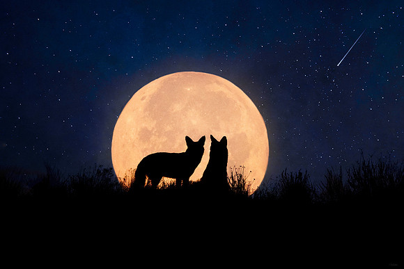 Moonrise
