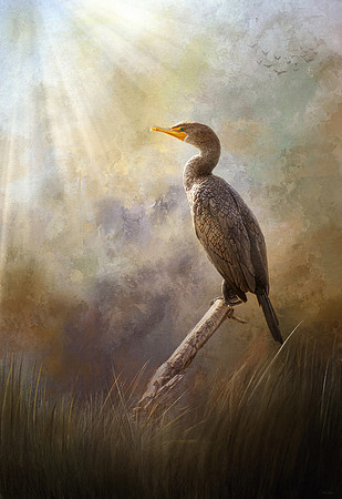 Peaceful Morning in the Marsh