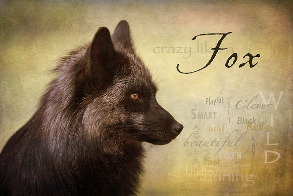 Crazy Like a Fox