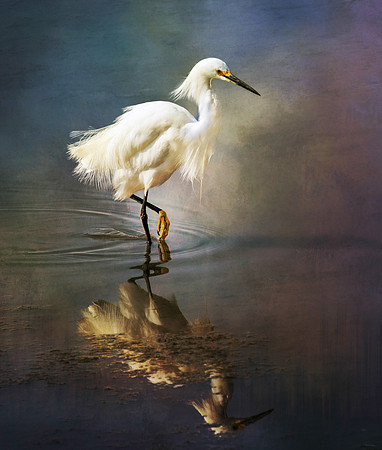 The Ethereal Egret